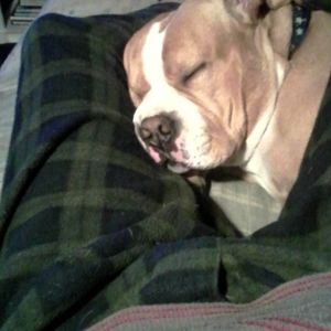 Meet your Posher, Andy